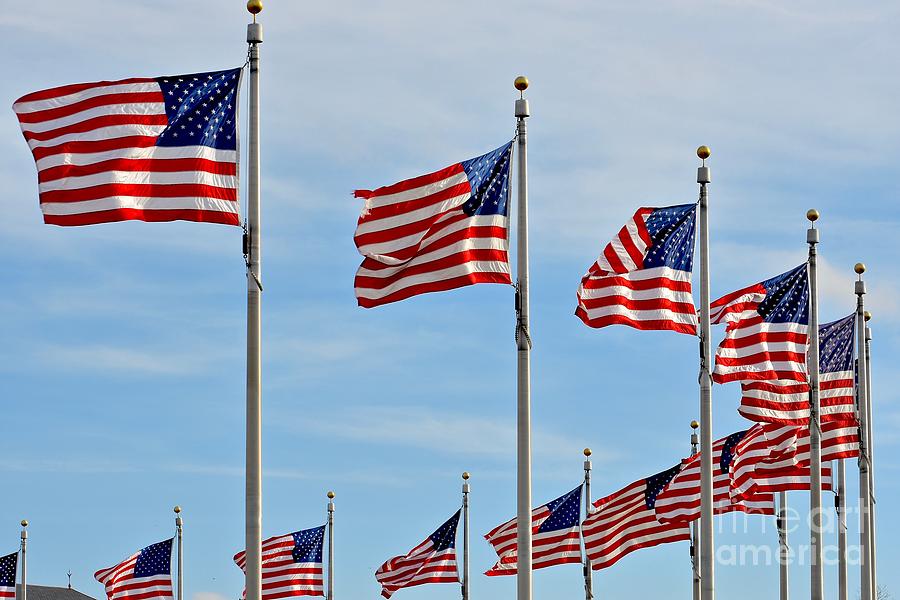 Circle Of Flags Photograph