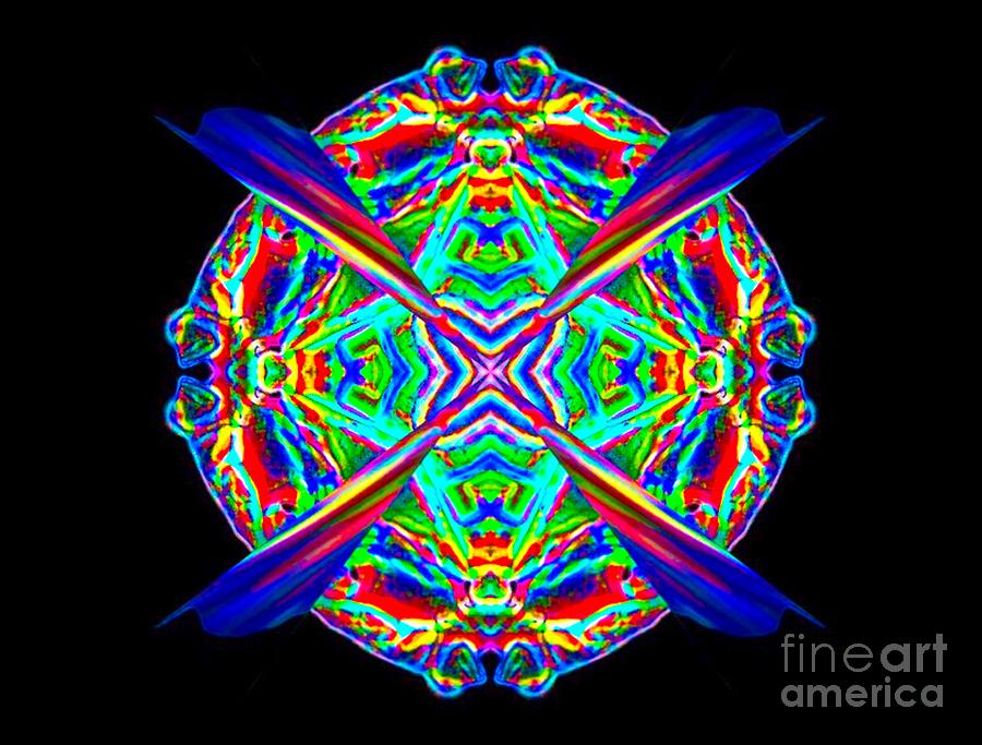 Abstract Digital Art - Circle Of Life by Lorles Lifestyles Abstract Digital Art - Circle Of Life by Lorles Lifestyles