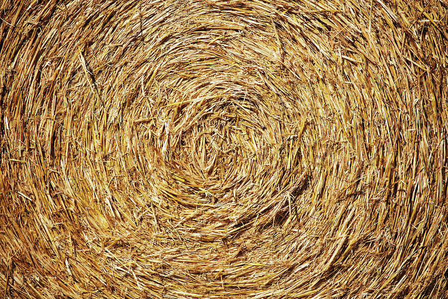 Circle of Straw Photograph by Todd Klassy