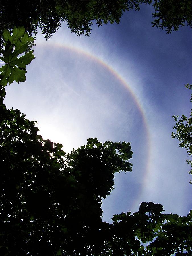 Circle Rainbow Ring Photograph by Julie Rauscher
