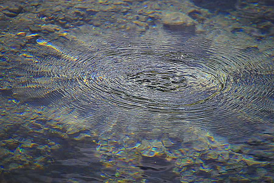 Circles and Iridescence Photograph by Nadalyn Larsen