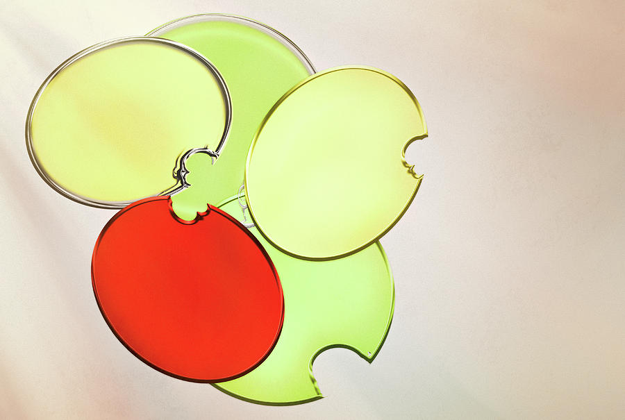 Circles of Red, Yellow and Green by Donna Lee Circles of Red, Yellow and Green by Donna Lee