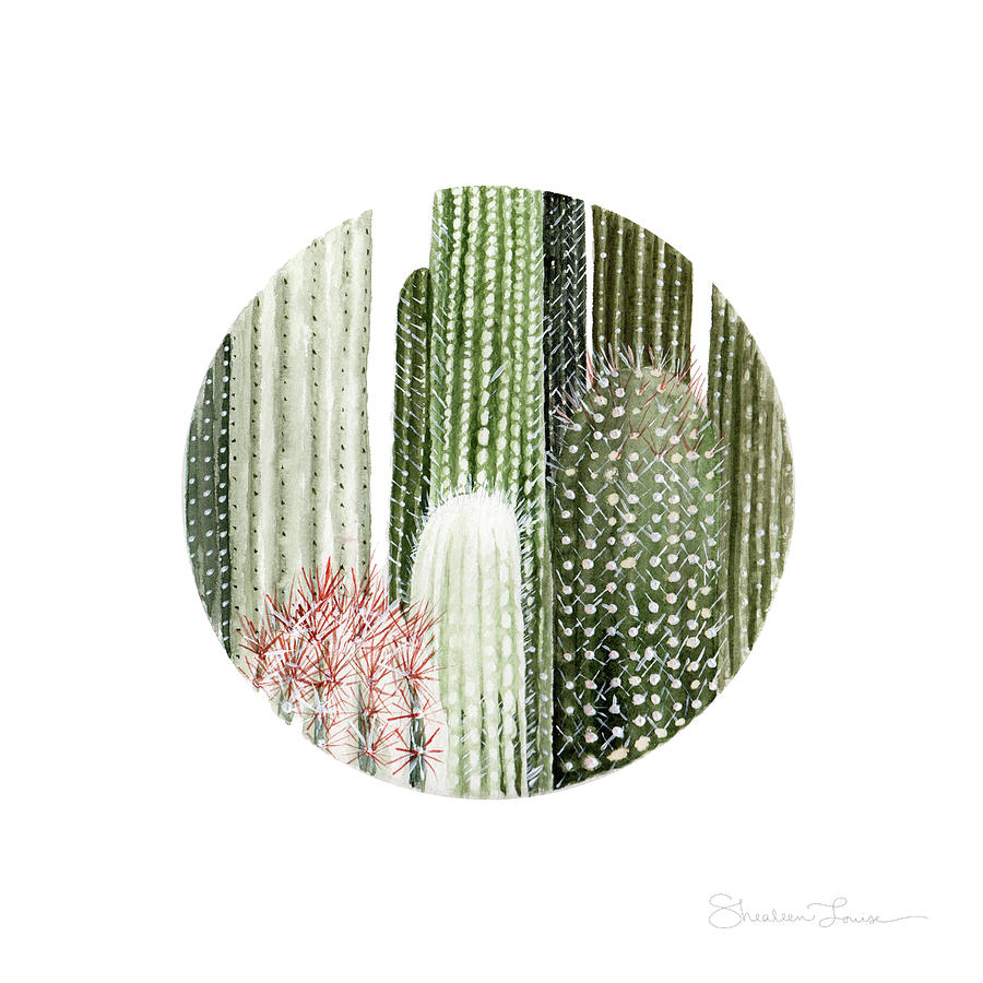 Flower Painting - Circular Cacti by Shealeen Louise