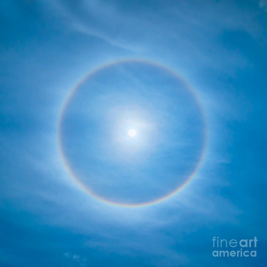 Summer Photograph - Circular halo by Delphimages Photo Creations