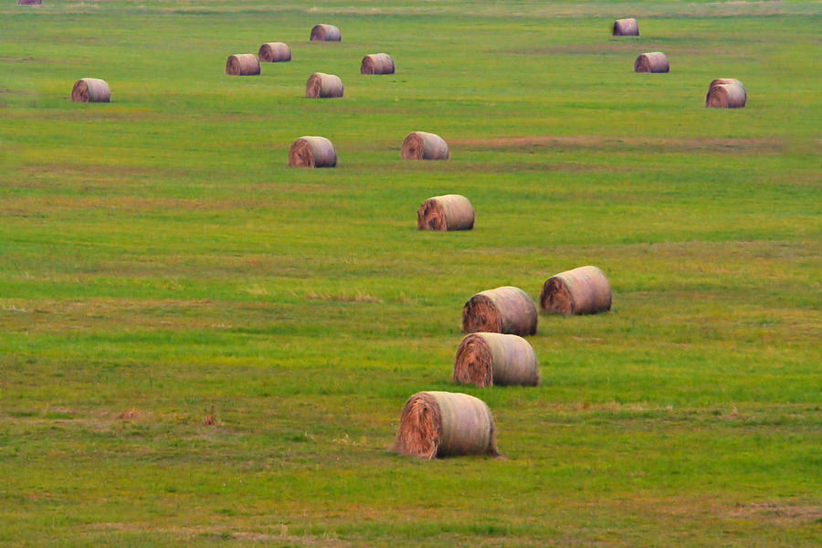 Circular Hay Bales Photograph by Josephine Buschman