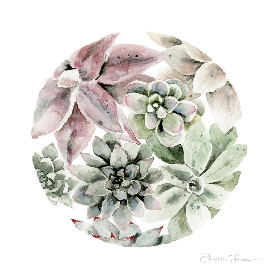 Flower Painting - Circular Succulents by Shealeen Louise