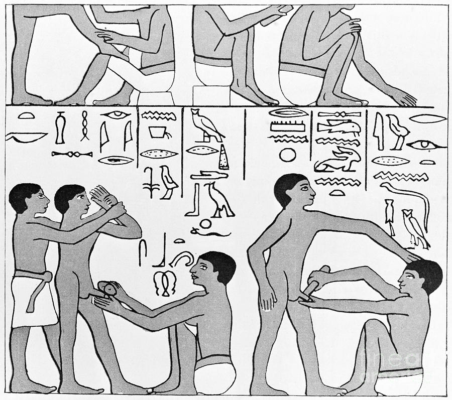 Circumcision, Ancient Egypt, 2600 Bc Photograph by Wellcome Images