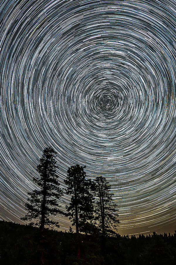 Circumpolar Star Trails Photograph by Zolt Levay | Fine Art America