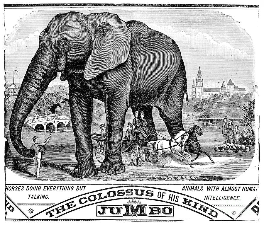 Elephant Photograph - CIRCUS HANDBILL, c1884 by Granger