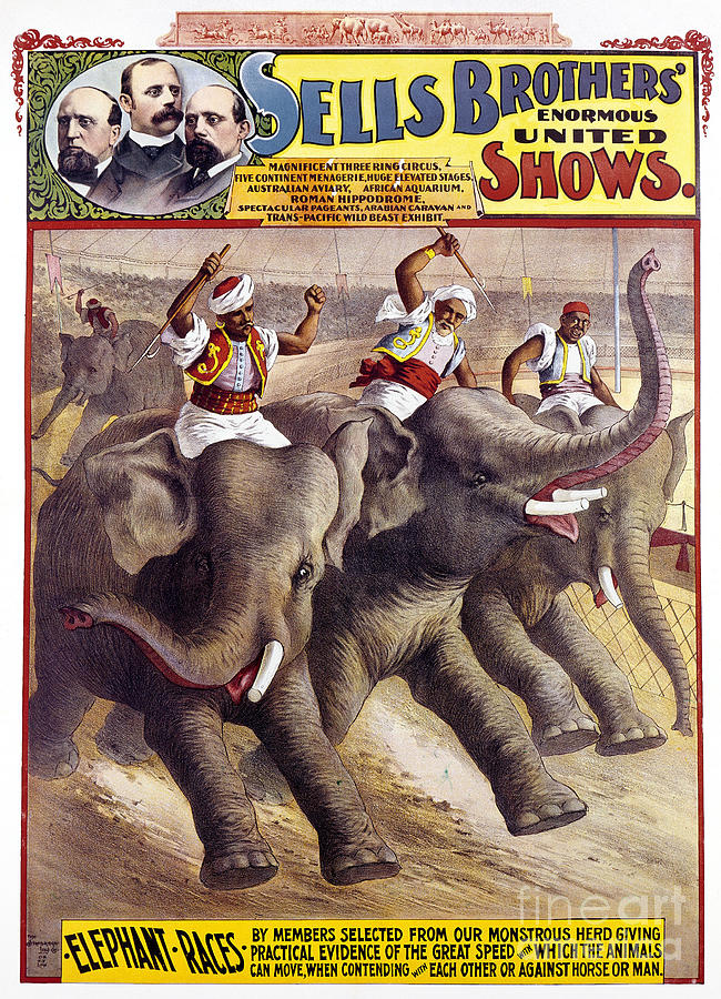 CIRCUS POSTER, c1890 Photograph by Granger
