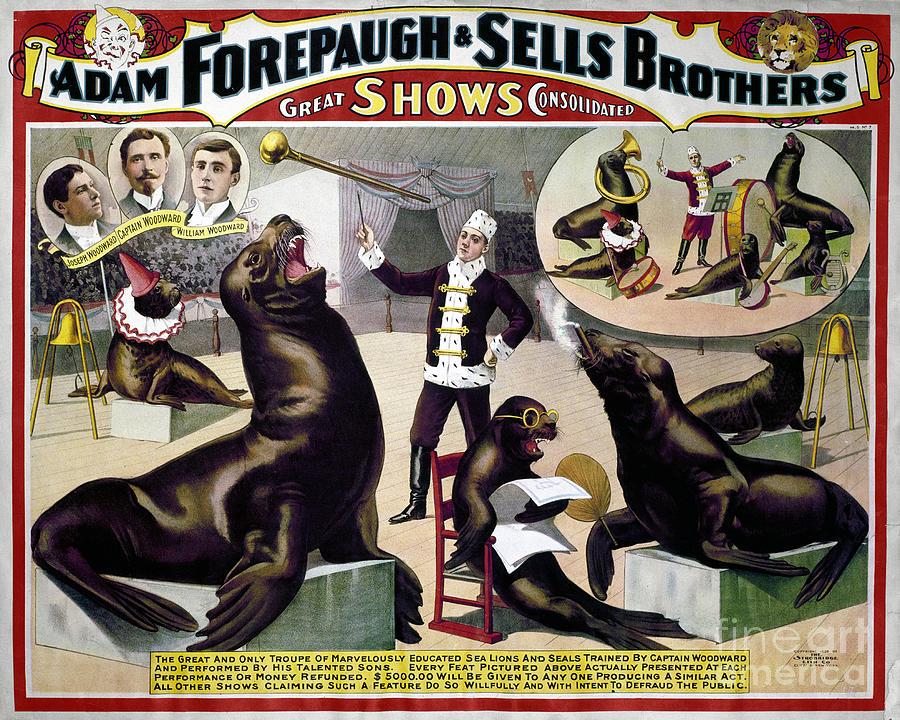 CIRCUS POSTER, c1898 Photograph by Granger