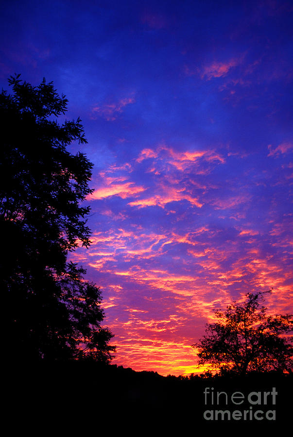 Cirrocumulus undulatus Photograph by Thomas R Fletcher - Fine Art America