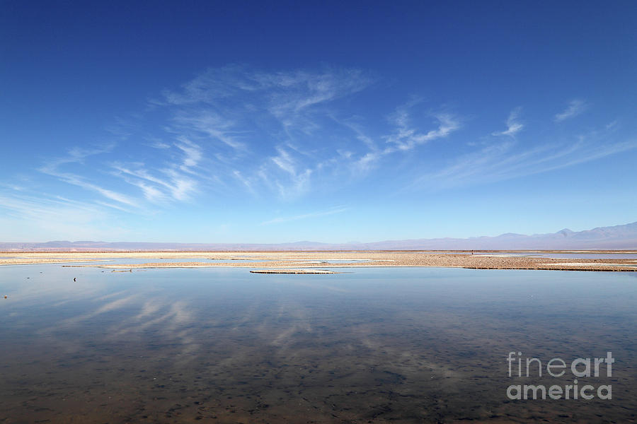 Cirrus Cloud Reflections in Laguna de Chaxa Chile Photograph by James Brunker