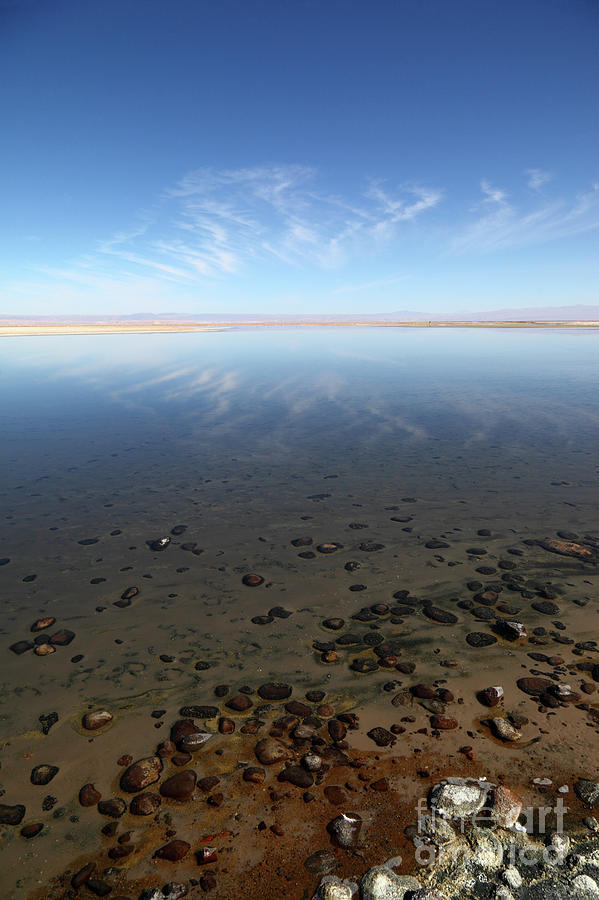Cirrus Clouds and Pebbles in Laguna de Chaxa Chile Photograph by James Brunker