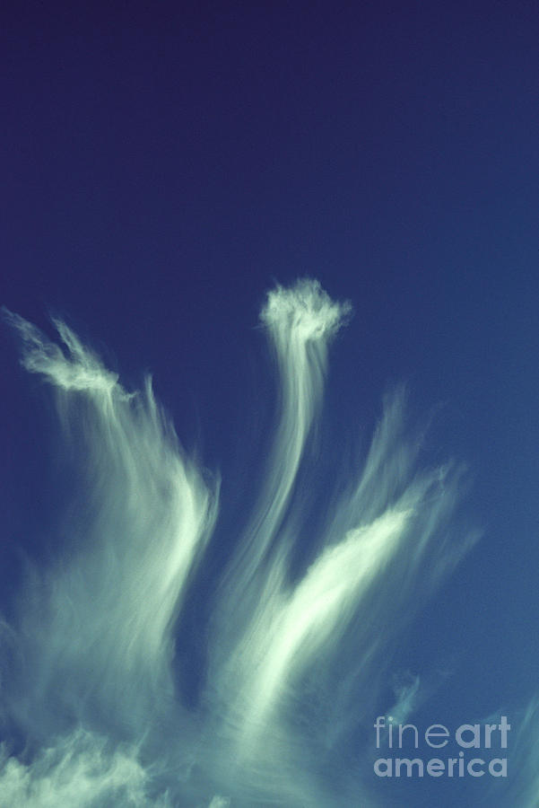 Abstract Photograph - Cirrus Clouds by Boyd E Norton