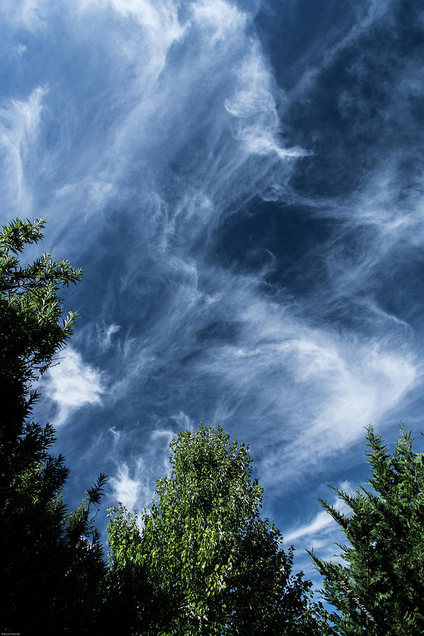 Cirrus Clouds In A Cobalt Blue Sky Photograph by Mick Anderson