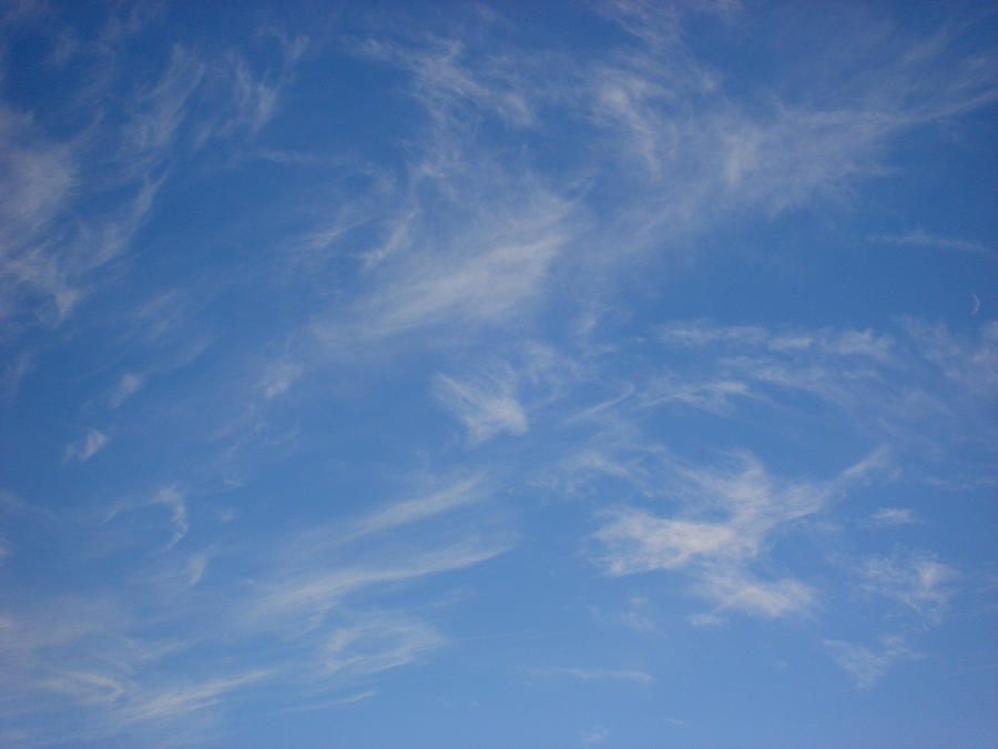 Cirrus Clouds Photograph by Marilynne Bull
