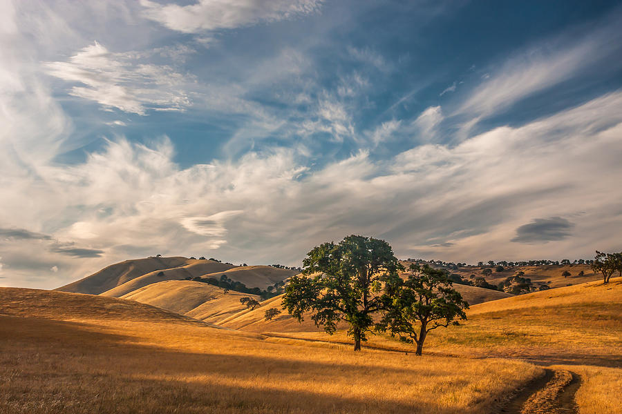 Cirrus Clouds Over Round Valley Photograph by Marc Crumpler
