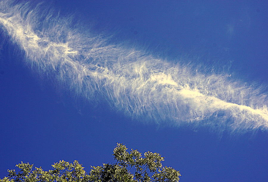 Cirrus Feather Photograph by Kathy Barney