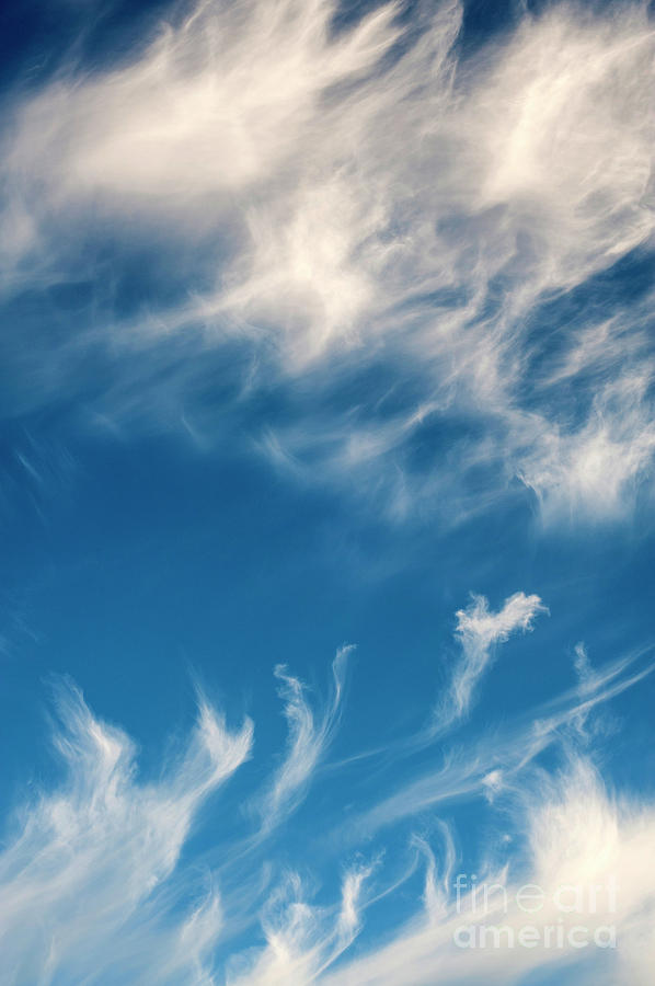 Cirrus Fibratus Fair Weather Clouds  Photograph by Jim Corwin