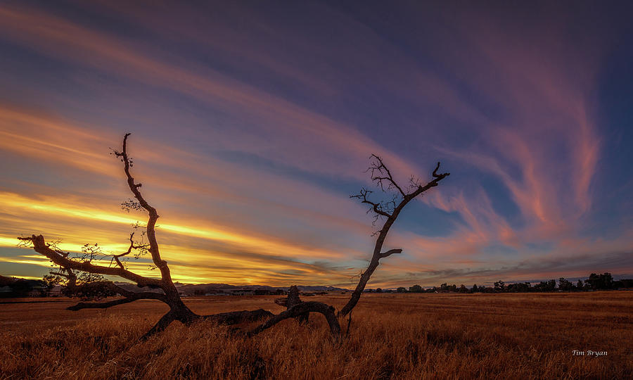 Sunset Photograph - Cirrus by Tim Bryan