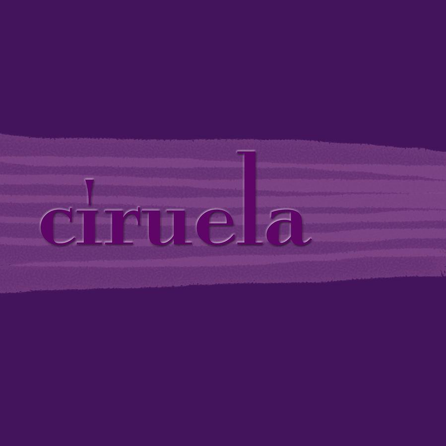 Ciruela Photograph by Bill Owen