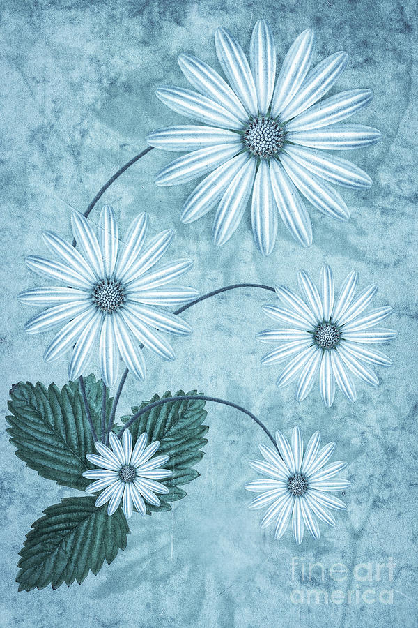 Nature Digital Art - Cisco Blue by John Edwards