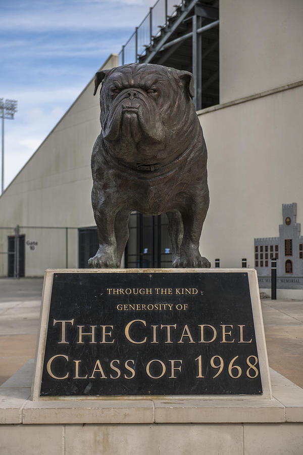 Citadel Bulldog Photograph by Dale Powell