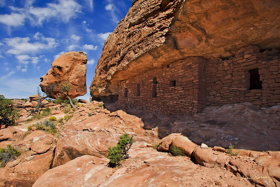 Citadel House Photograph by Dan Norris