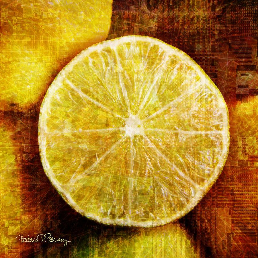Citrus Digital Art by Barbara Berney