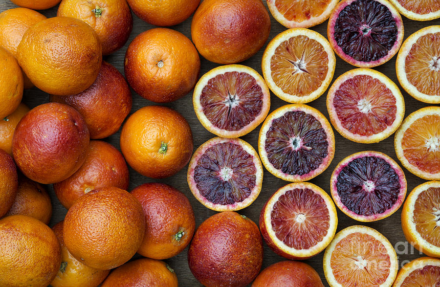 Citrus Blood Oranges Photograph by Tim Gainey