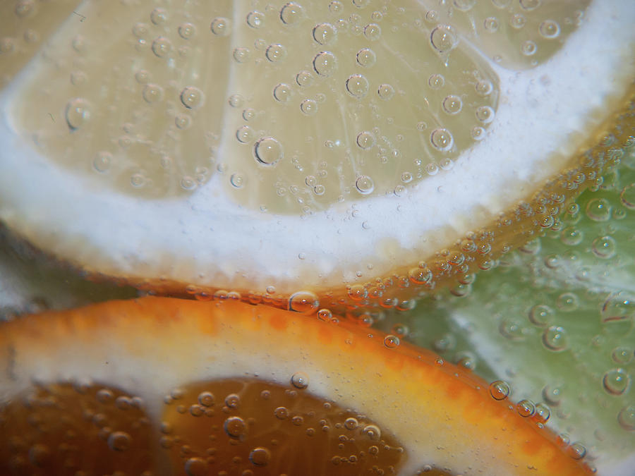 Citrus Bubbles Photograph by Stewart Helberg