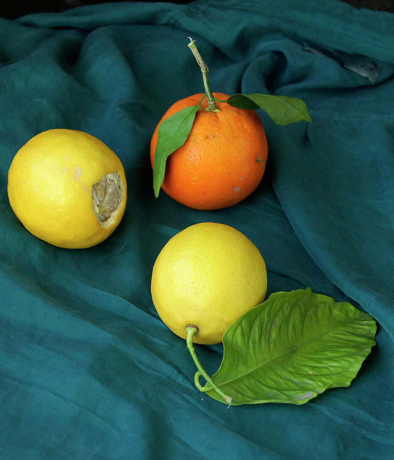 Citrus Photograph by Florine Duffield
