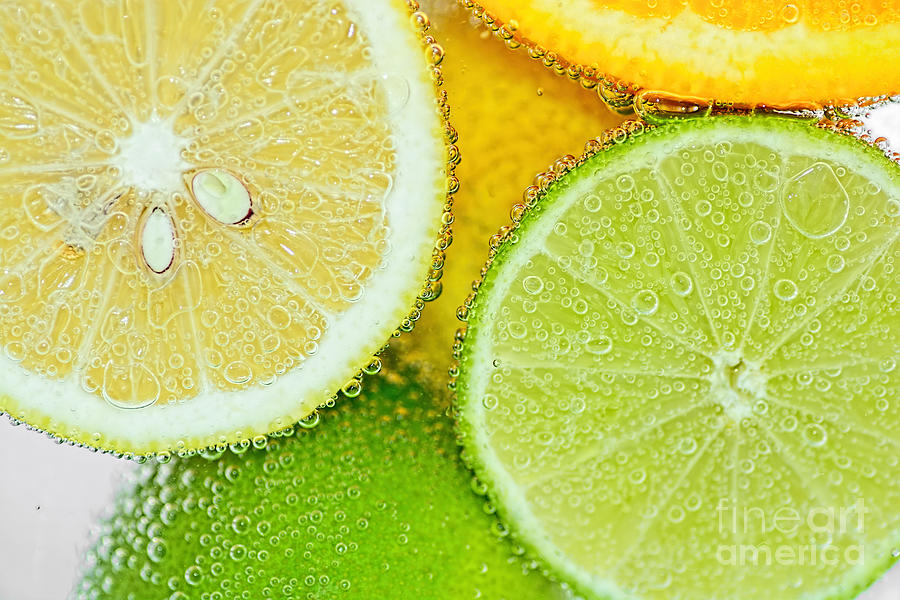 Lemon Photograph - Citrus Fresh by Kaye Menner by Kaye Menner