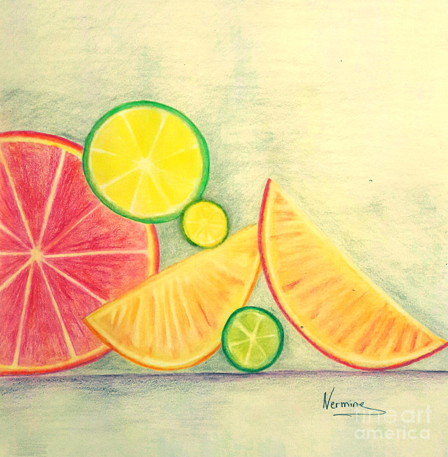 Lemon Drawing - Citrus fruits by Nermine Hanna