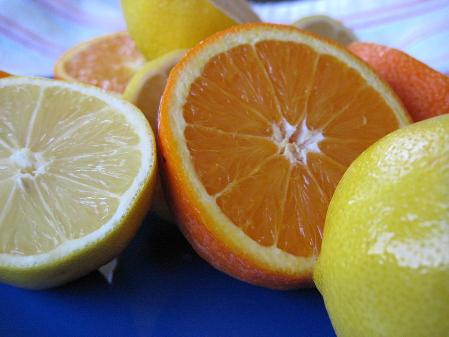 Citrus on blue plate Photograph by Kim Pascu