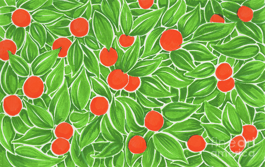 Citrus pattern Drawing by Cindy Garber Iverson