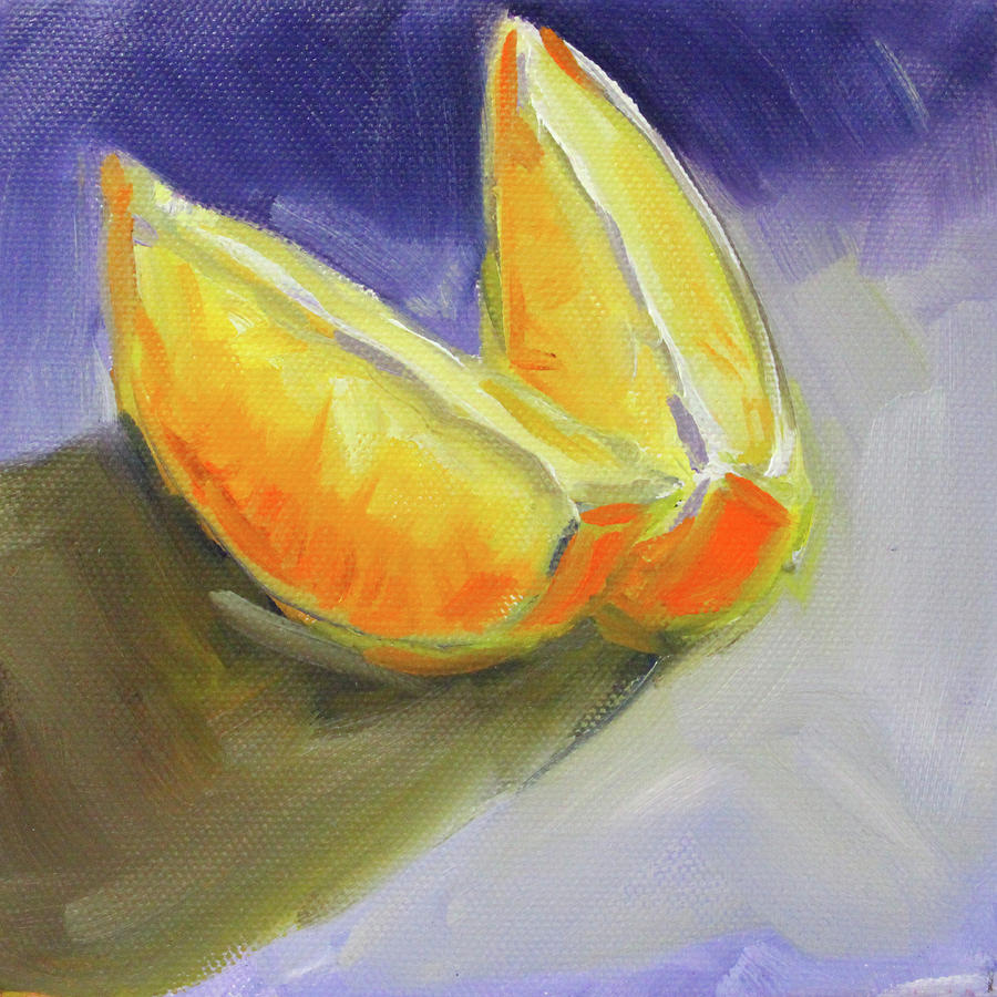 Citrus Sections Painting by Nancy Merkle