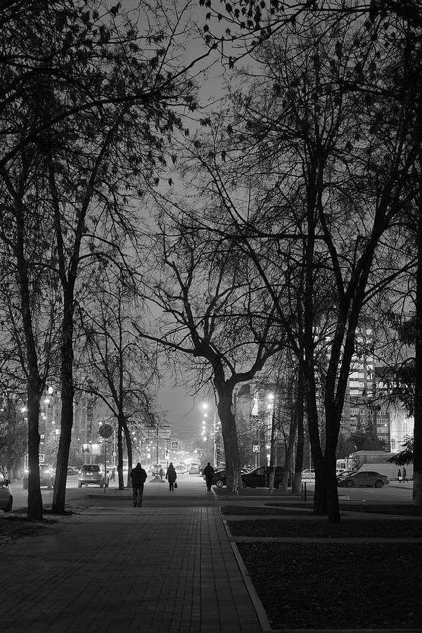 City Street at Night Photograph by John Williams