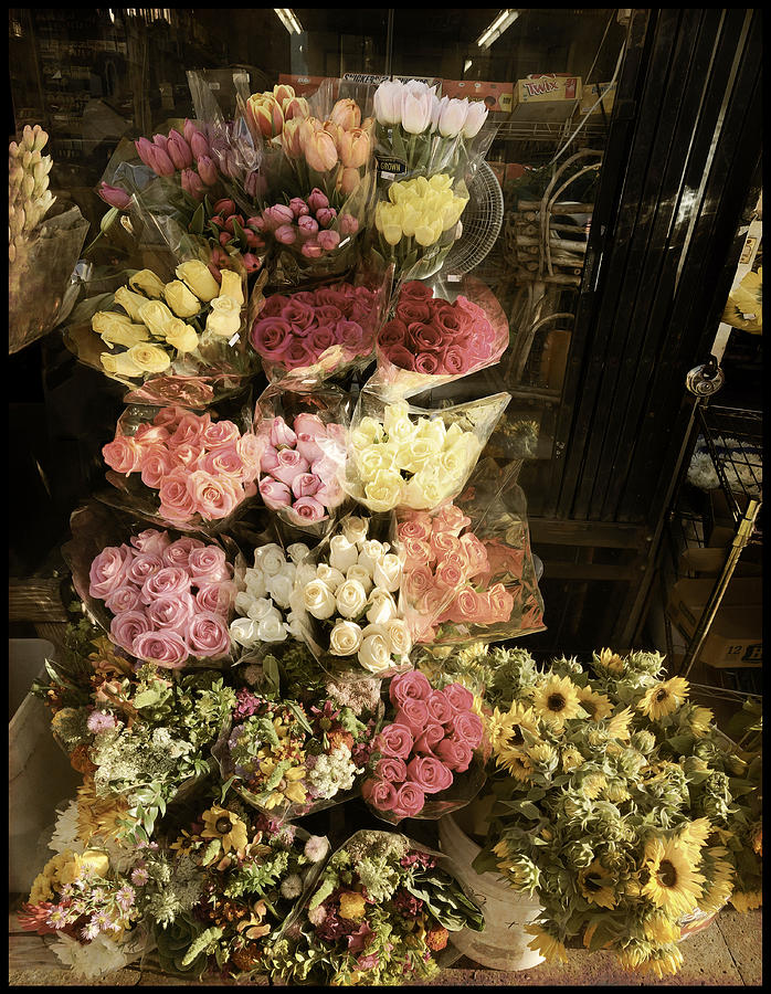 City Flowers in Vintage Colors Photograph by Bonnie Follett