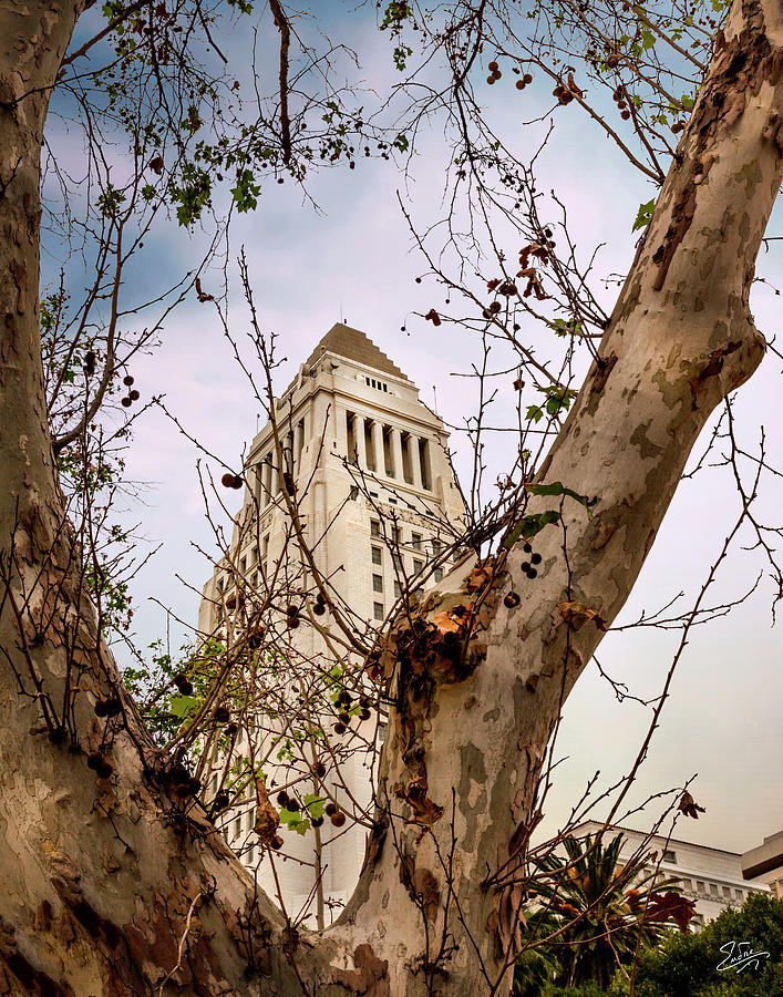 City Hall Seen Through A Tree Photograph by Endre Balogh