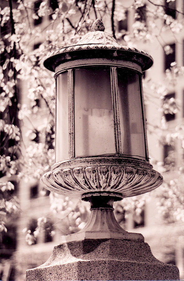 City Lamp Photograph by Emery Graham