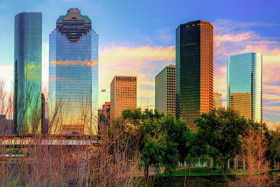 Houston Texans Photograph - City of Houston Texas Skyline by Gregory Ballos