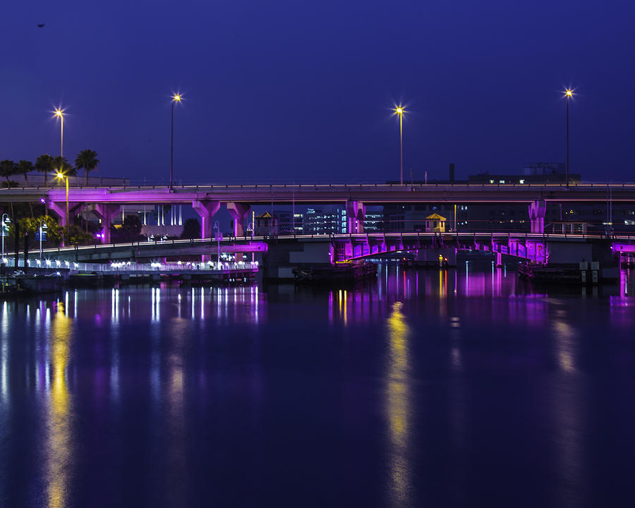 Pink Bridge Of Tampa Photograph by Paula Porterfield-Izzo