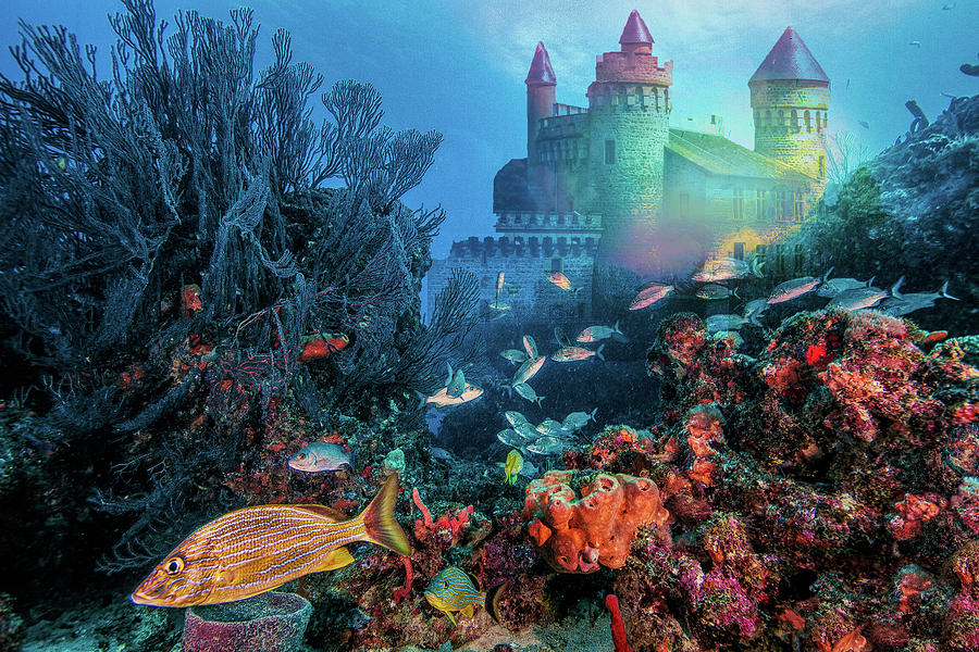 City on the Rainbow Reef Photograph by Debra and Dave Vanderlaan