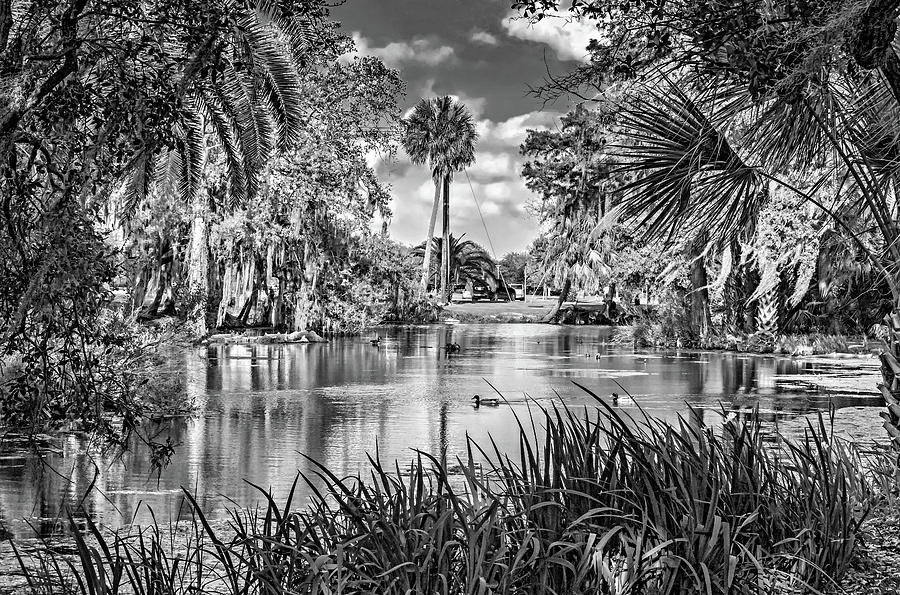 City Park Lagoon 3 bw Photograph by Steve Harrington