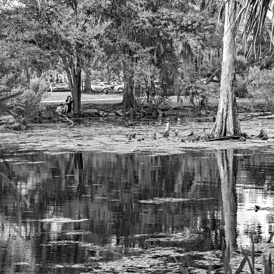 City Park Lagoon - Waterfowl Watching bw Photograph by Steve Harrington