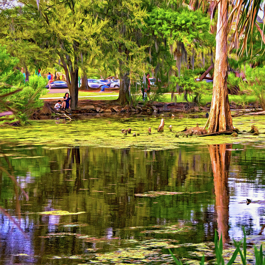 City Park Lagoon - Waterfowl Watching - Paint Photograph by Steve Harrington