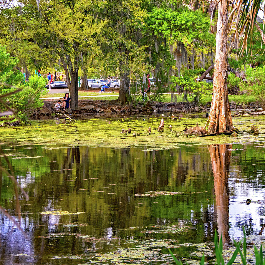 City Park Lagoon - Waterfowl Watching Photograph by Steve Harrington