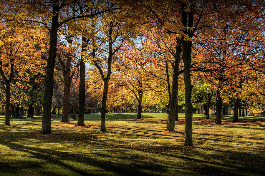 City Park Scene in Autumn with Shadows Photograph by Randall Nyhof